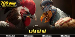 Luật đá gà