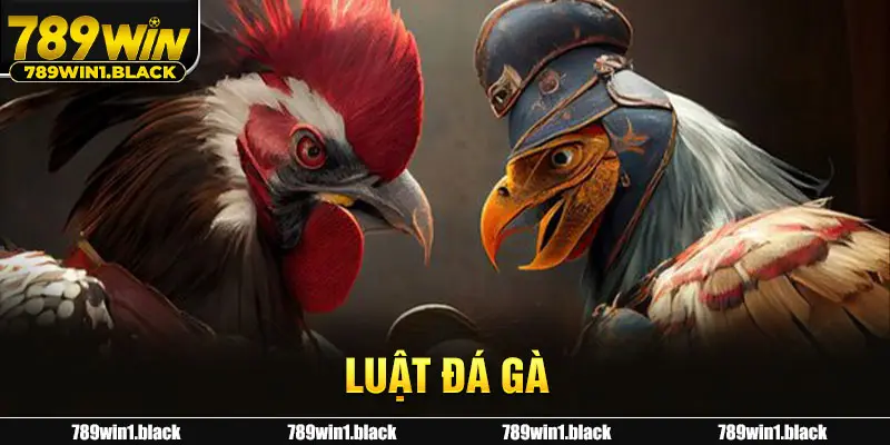 Luật đá gà