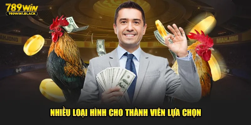 Nhiều loại hình cho thành viên lựa chọn